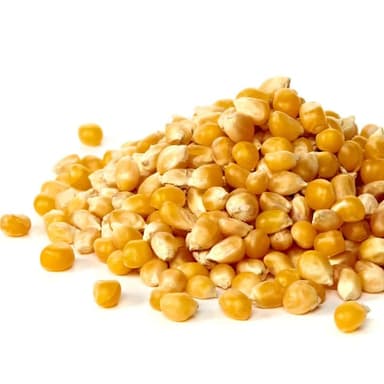 Maize